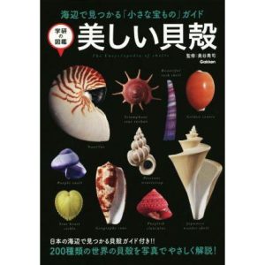 美しい貝殻 海辺で見つかる「小さな宝もの」ガイド 学研の図鑑/奥谷喬司